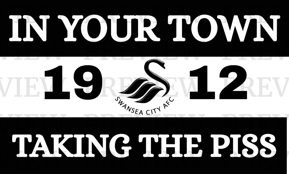 Swansea In Your Town 3 Sections
