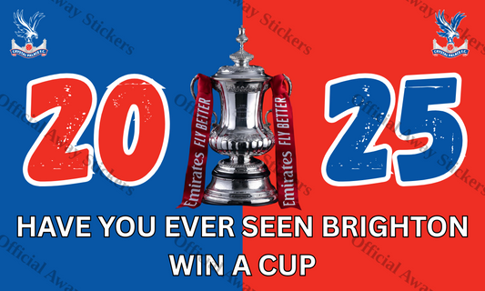 Have You Ever Seen Brighton Win A Cup