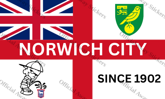 Norwich City St George's