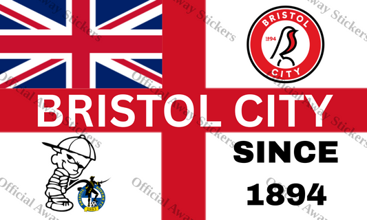Bristol City St George's
