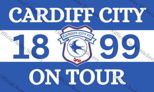 Cardiff City On Tour 3 Sections