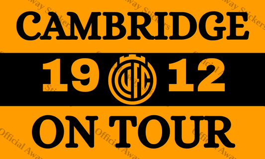 Cambridge On Tour 3 Sections