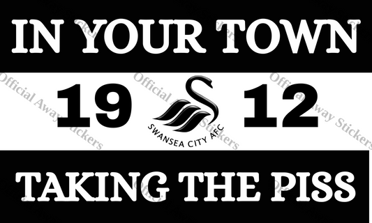 Swansea In Your Town 3 Sections