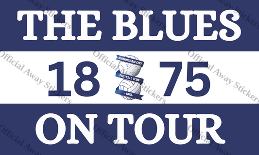 Birmingham City The Blues 3 Sections