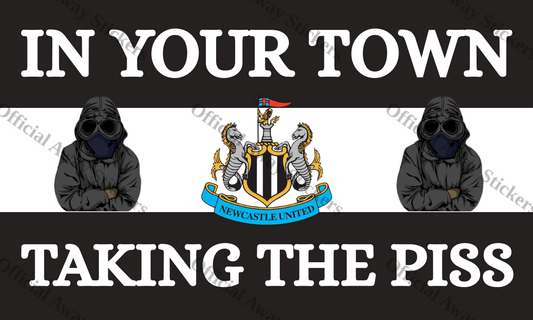 Newcastle In Your Town 3 Sections