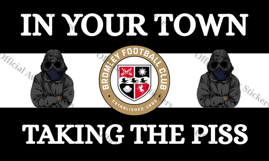 Bromley In Your Town 3 Sections