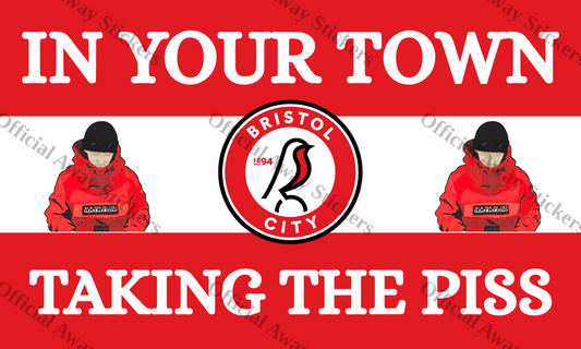 Bristol City In Your Town 3 Sections