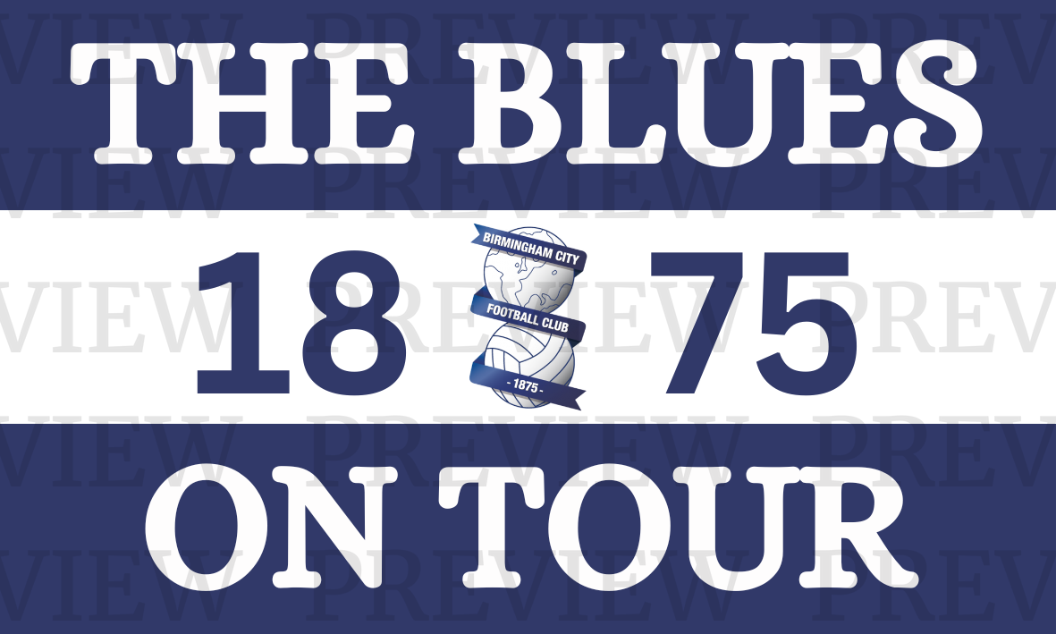 Birmingham City The Blues 3 Sections