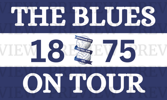Birmingham City The Blues 3 Sections
