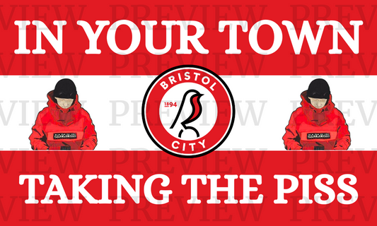 Bristol City In Your Town 3 Sections