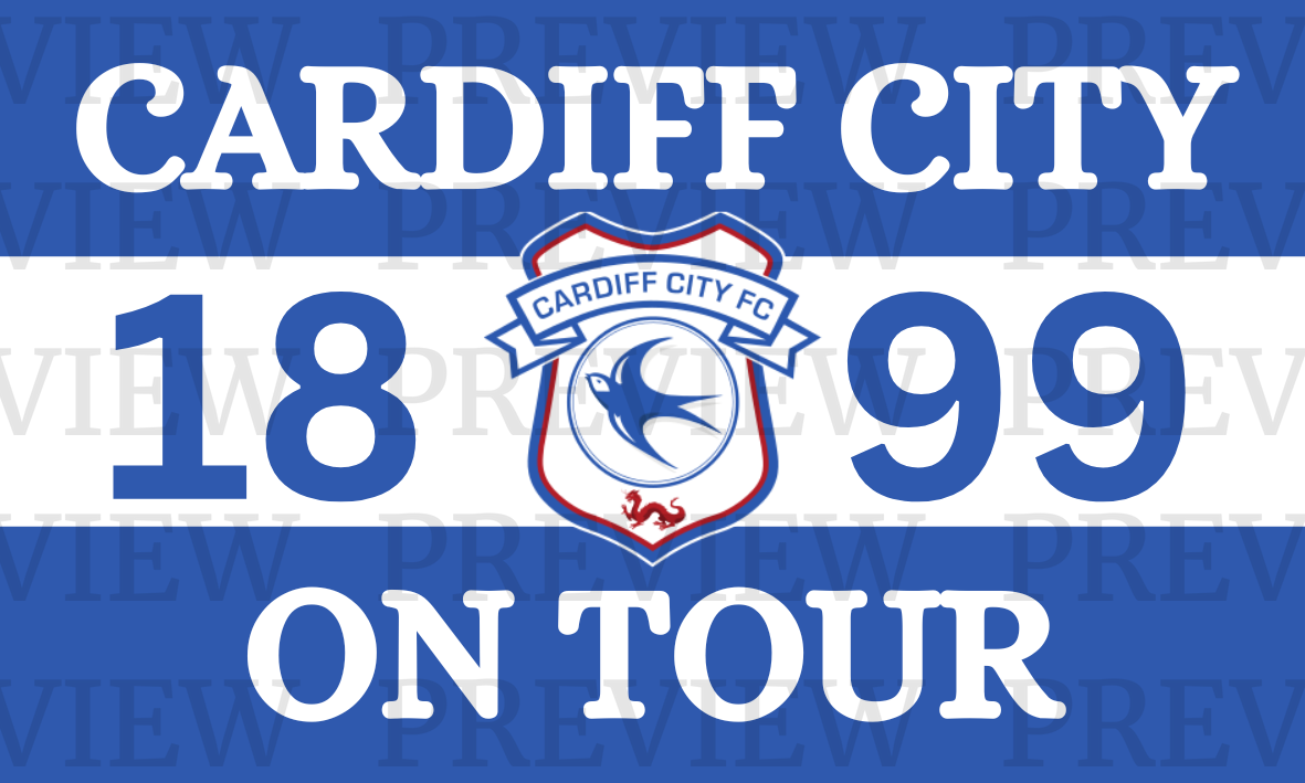 Cardiff City On Tour 3 Sections